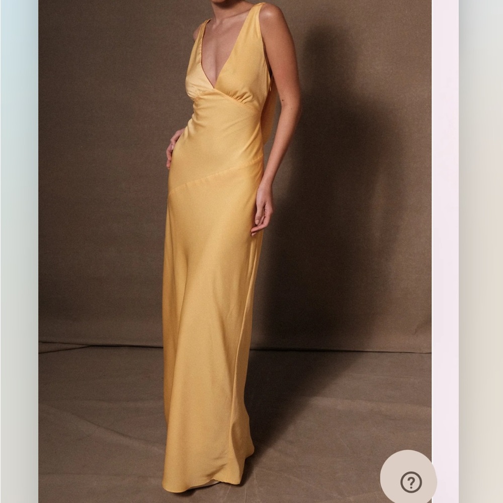 NEW MESHKI Dress